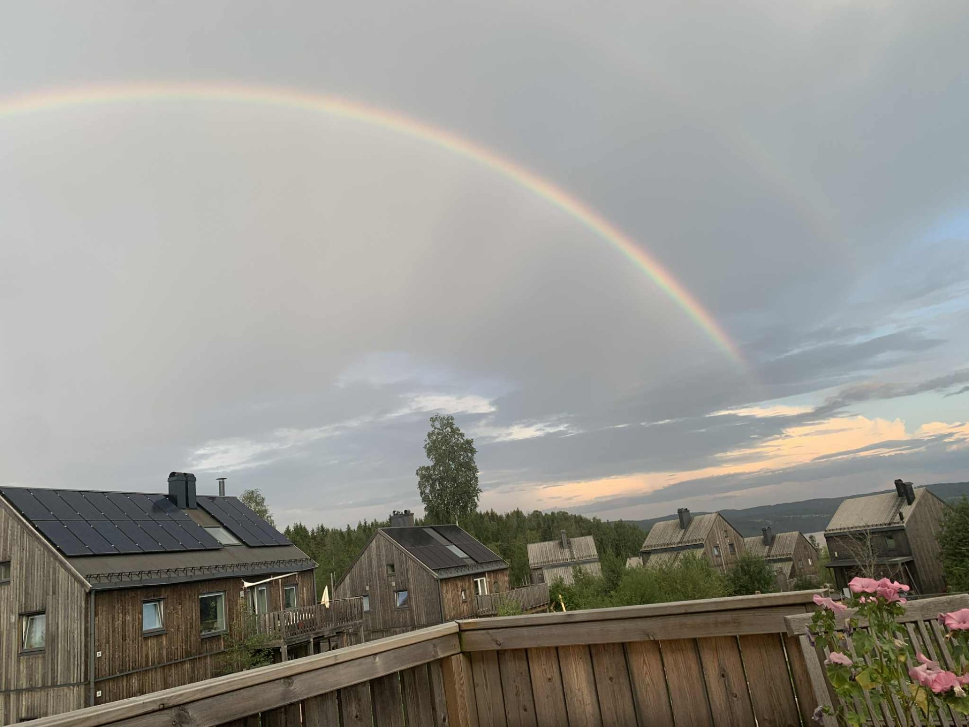 The view from my balcony - In Hurdal Eco Village there is always hope ✨